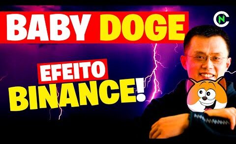 🚨 BABY DOGE COIN EFEITO BINANCE | Crypto News