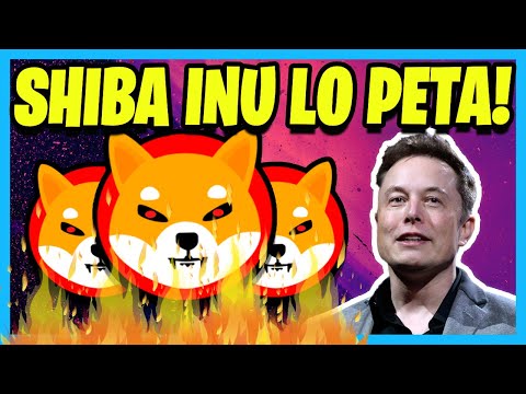 🤫 ESTO ES LO QUE ESTÁ PASANDO HOY CON SHIBA INU! 🤑 ANÁLISIS PRECIO Criptomonedas Binance ✅ (¿SUBE?)