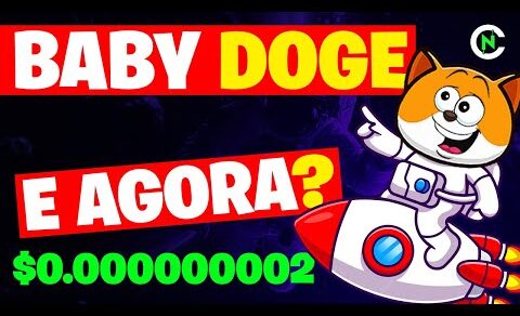 🚨 BABY DOGE COIN E AGORA? Crypto News