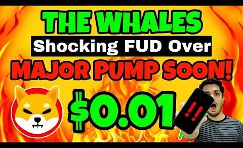 Shiba Inu $0.01 Shocking Pump Update 🔥 Shibarium FUD Game Over 😳 Crypto News Today