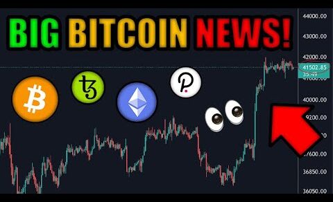 GUESS WHAT JUST CAUSED BITCOIN TO PUMP??? (POLKADOT, TEZOS, CRYPTO NEWS)