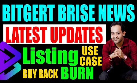 Bitgert Brise Coin updates: 3rd Burning date and Exchange listing | Crypto News Today | Rajeev Anand