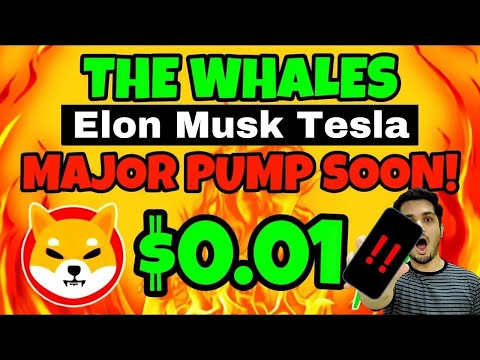 Shiba Inu $0.1 Shibarium Launch 🔥 Elon Musk Tesla 💯 Crypto News Today India