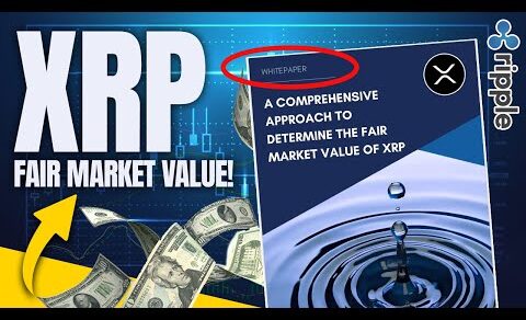 Ripple XRP News – BREAKING NEWS: NEW XRP FAIR MARKET VALUE GUIDE IS COMING OUT! $12 TO $64 XRP PRICE