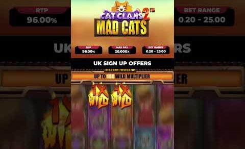 💥 FRESH LOOK! 🐱Cat Clans 2 Mad Cats Slot TEASER!