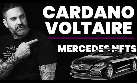 Cardano Voltaire and Mercedes NFTs Crypto News