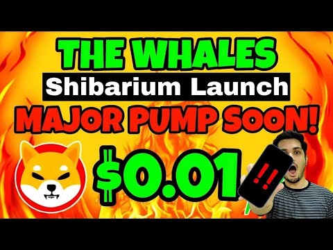 Shiba Inu $0.1 Shibarium Launch 🔥 Shiba Pump Today 💯 Crypto News Today India