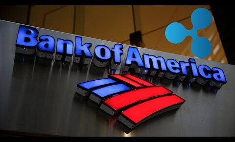 XRP RIPPLE ITS HAPPENING FOR REAL !!!!!!!!!! BANK OF AMERICA PRESIDENT SAYS THIS !!!!!!!!