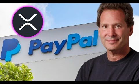 XRP RIPPLE PAYPAL CEO CAUSALLY DROPS XRP BOMBSHELL !!!!!!!!!