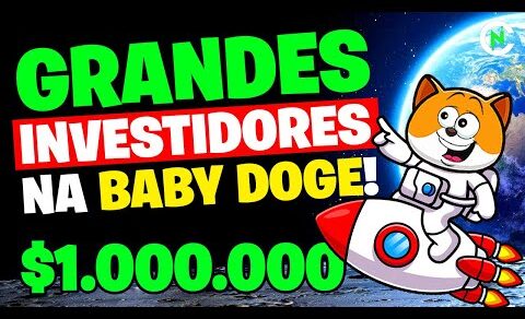 🚨 BABY DOGE COIN GRANDES INVESTIDORES E A REAÇÃO DO MERCADO! Crypto News