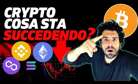 BINANCE MATIC SOLANA ADA CRYPTO in SUPER CRASH | NEWS ANALISI CICLICA e PREVISIONI