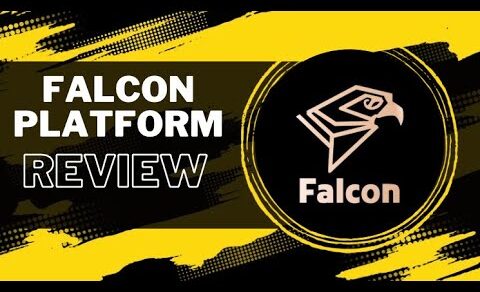 Falcon Platform Review-مراجعة منصة فالكون