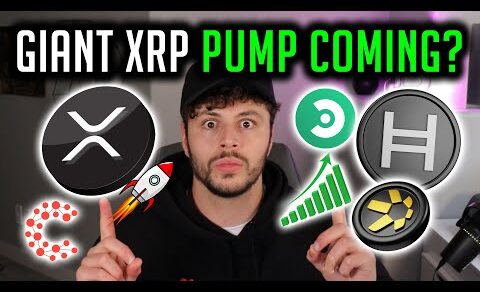 GIANT XRP Pump Coming!? HBAR, CSPR, QNT, CORE – Important Crypto News Today!