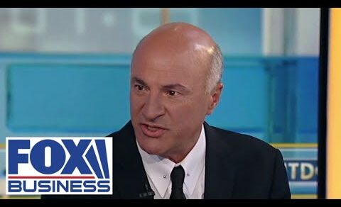 Kevin O’Leary: This SEC move makes crypto radioactive waste