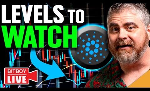 $2.5 BILLION Cardano Activity! (CRUCIAL Bitcoin Levels to Watch)