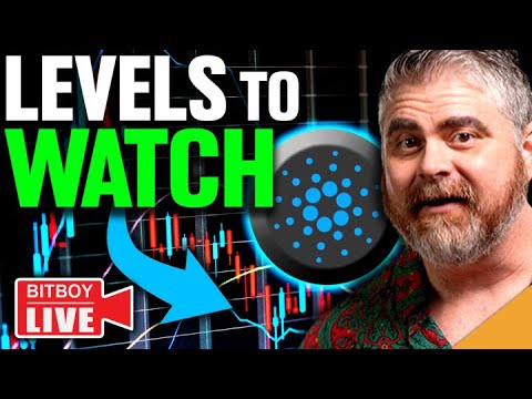 $2.5 BILLION Cardano Activity! (CRUCIAL Bitcoin Levels to Watch)