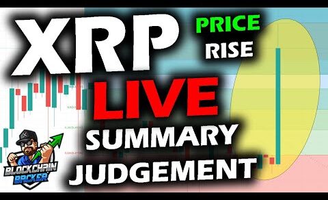 Ripple Sales of XRP DO NOT Constitute Investment Contracts, Summary Judgement, XRP Price Exploders