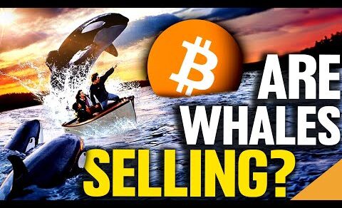 Bitcoin Whales Making BIG Moves! (Time To Sell?)