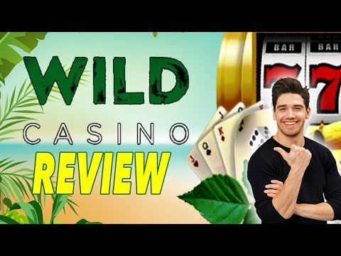 Wild Casino Review 🐯 Is Wild Online Casino Any Good? 🎲