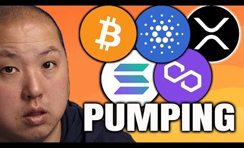 SEC LOSES XRP CASE | BITCOIN, SOLANA, CARDANO, POLYGON PUMPS!