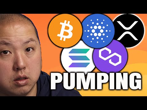 SEC LOSES XRP CASE | BITCOIN, SOLANA, CARDANO, POLYGON PUMPS!