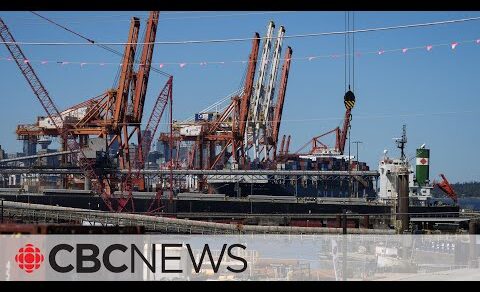 Dock workers return to work after cancelled B.C. port strike