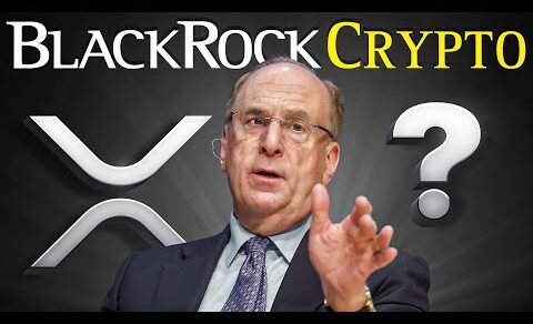 BlackRock Just Chose Their Crypto Niche (MASSIVE Opportunity)