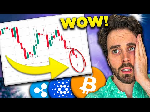 The ACTUAL Reason Bitcoin is Going Down.. | Polygon & Cardano News