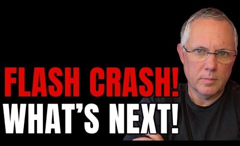 Crypto Flash Market Crash! What’s Next For Investors?