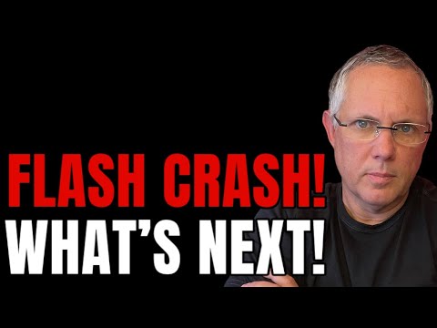 Crypto Flash Market Crash! What’s Next For Investors?