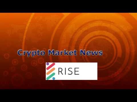 Rise Review: How to spot a great cryptocurrency