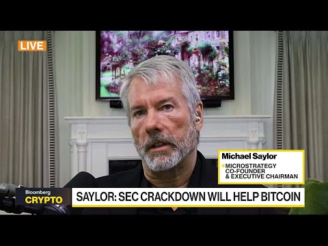 Regulators Have No Love for Bitcoin or Crypto: Saylor