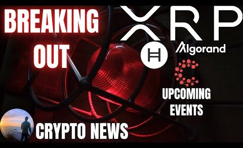 BREAKOUT! 💥Ripple XRP Bitcoin HBAR ALGO CSPR 💣 BREAKING NEWS ✔️CRYPTO NEWS 💲