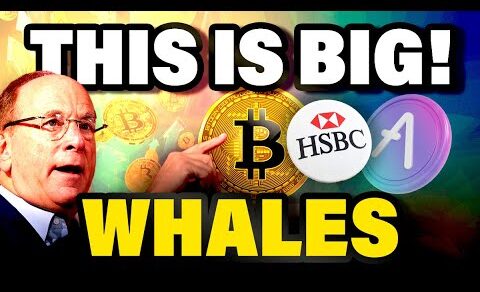 BIGGEST Crypto WIN! Crypto WHALE Bought 182,152 of this Altcoin | BRC20 Ready to Explode!