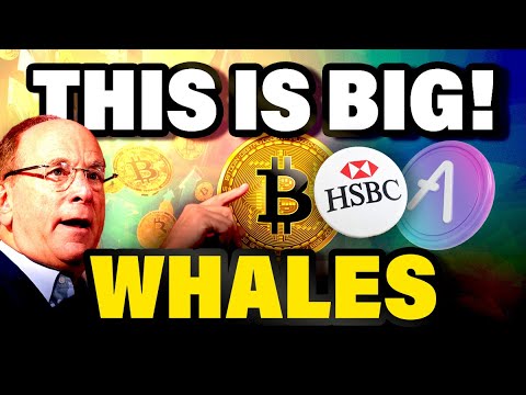 BIGGEST Crypto WIN! Crypto WHALE Bought 182,152 of this Altcoin | BRC20 Ready to Explode!