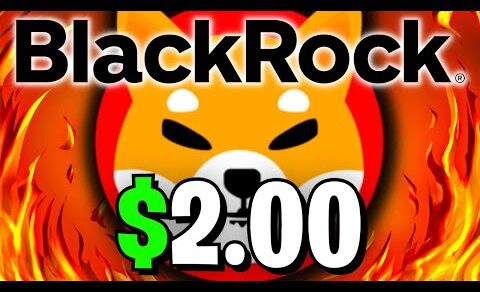 BREAKING: BLACKROCK IS SENDING SHIBA INU TO $2.00 – EXPLAINED – SHIB NEWS TODAY