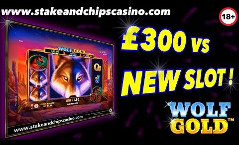 CAN I WIN ?? – WOLF GOLD SLOT GAME / REVIEW 🚨 at PLAYOJO CASINO