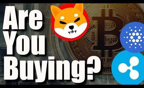 BTC ETF Plans + HUGE Shiba Inu Burn + DRAMATIC Bitcoin Drop + XRP In 2025 & I Should Own Bitcoin