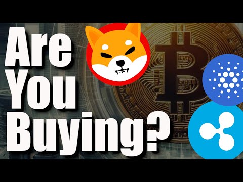 BTC ETF Plans + HUGE Shiba Inu Burn + DRAMATIC Bitcoin Drop + XRP In 2025 & I Should Own Bitcoin