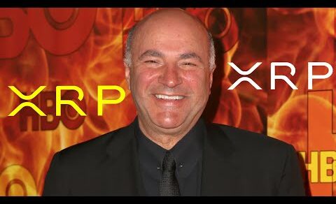 XRP RIPPLE KEVIN O’LEARY JUST DROPPED A NUKE ON FOX BUSINESS !!!!!!!