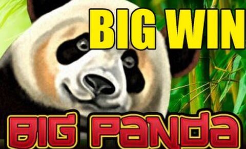 BIG WIN – Big Panda – Bet size: 3€ – (Amatic)