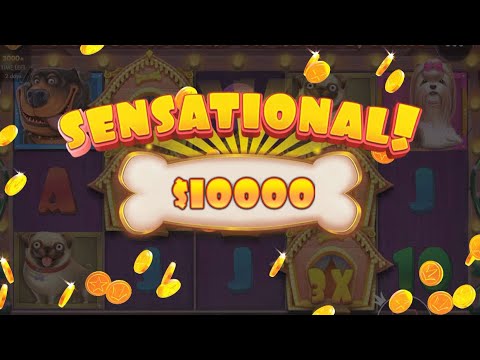 Casino online real money Big Win in The Dog House slot online! Online casino real cash gambling 2022