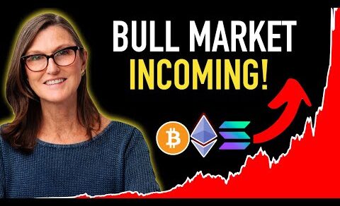 Crypto Bull Market Incoming! – BIG News from Ark Invest 🚨