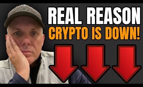 The REAL REASON Crypto Is Down Today! Breaking Crypto News!