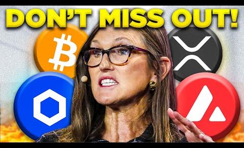 Cathie Wood: The Crypto Bull Run Is About To Go F**king Crazy (8 Day Warning)