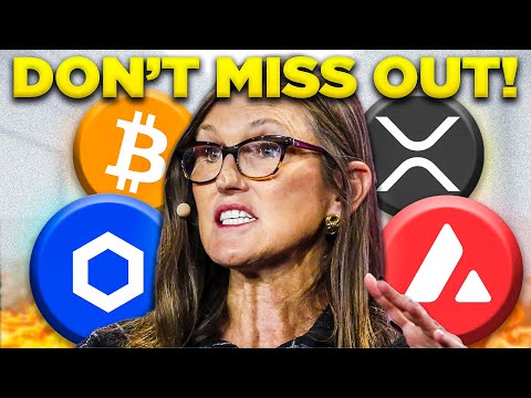 Cathie Wood: The Crypto Bull Run Is About To Go F**king Crazy (8 Day Warning)