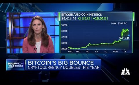 Bitcoin’s big bounce: Cryptocurrency doubles in price in 2023