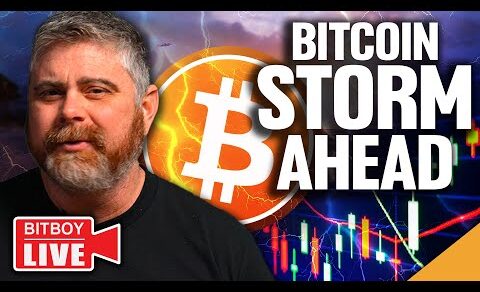 Bitcoin Storm AHEAD! (Cardano MASSIVELY Undervalued)