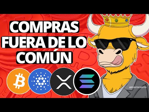 ✅POR FIN ESTÁ PASANDO😱Noticias Criptomonedas (HOY)Bitcoin Ethereum Cardano Solana Polygon XRP SHIB