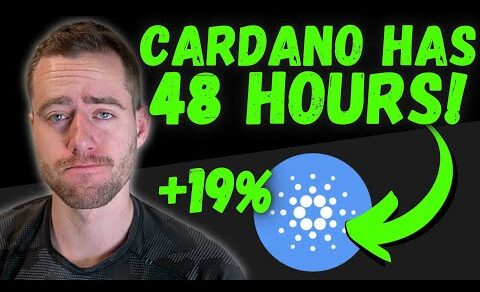 WHALES ARE GOING ALL IN CARDANO! 48 HOURS BEFORE WE KNOW!